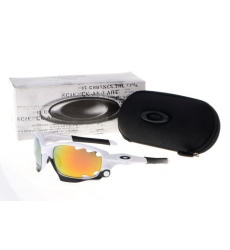 Oakley Glasses-0054
