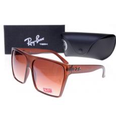 Ray-ban Glasses-1498